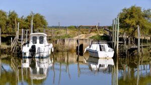 Des expositions et des événements sont disponibles tout l'été pour découvrir le domaine de Certes et Graveyron