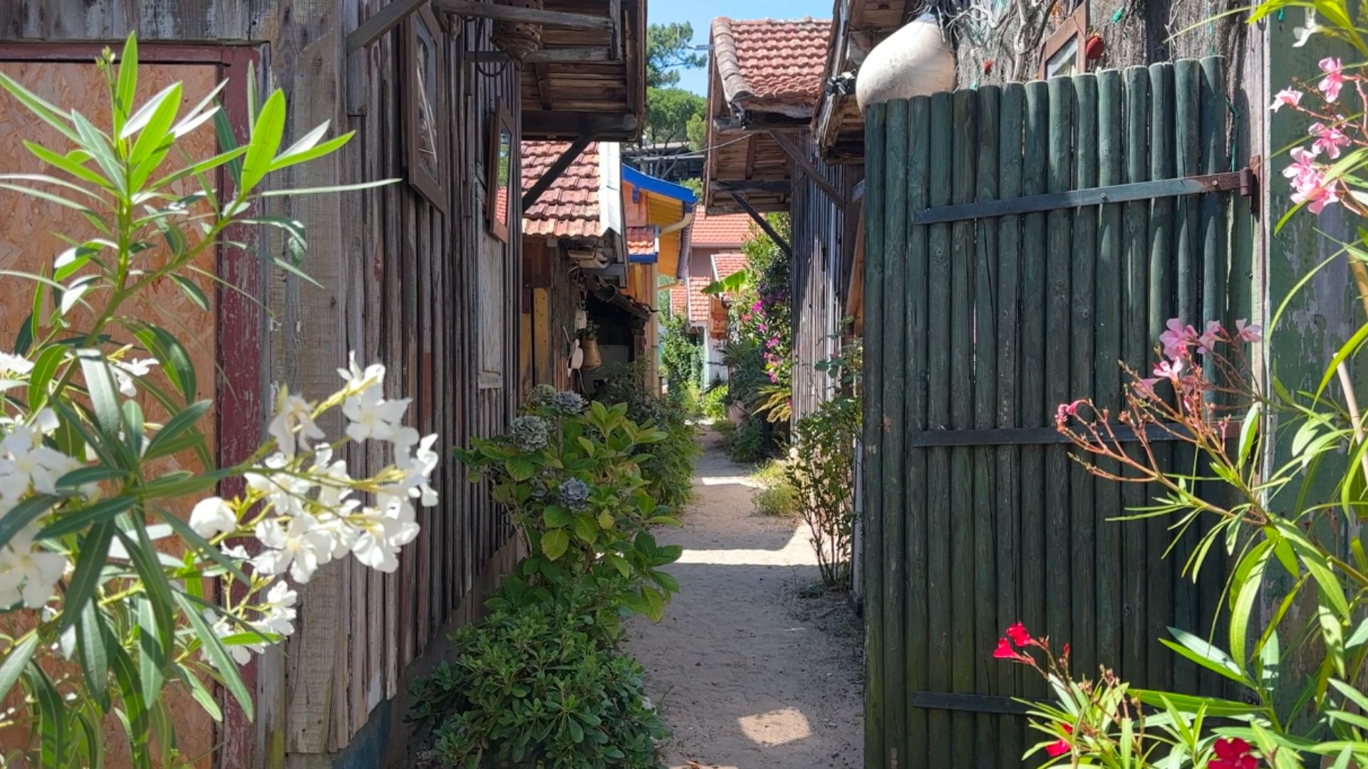 Vue d'une ruelle fleurie entre les cabanes ostréicoles du Village de l'Herbe