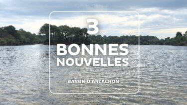lac de la magdeleine à gujan mestras avec écriture "3 bonnes nouvelles"