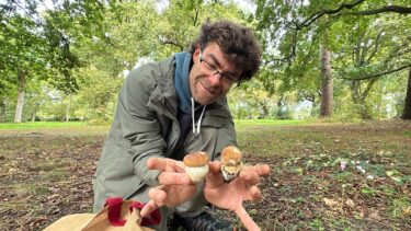 Alexandre Bert, guide nature à Arès nous éclaire sur la douce folie du cèpe