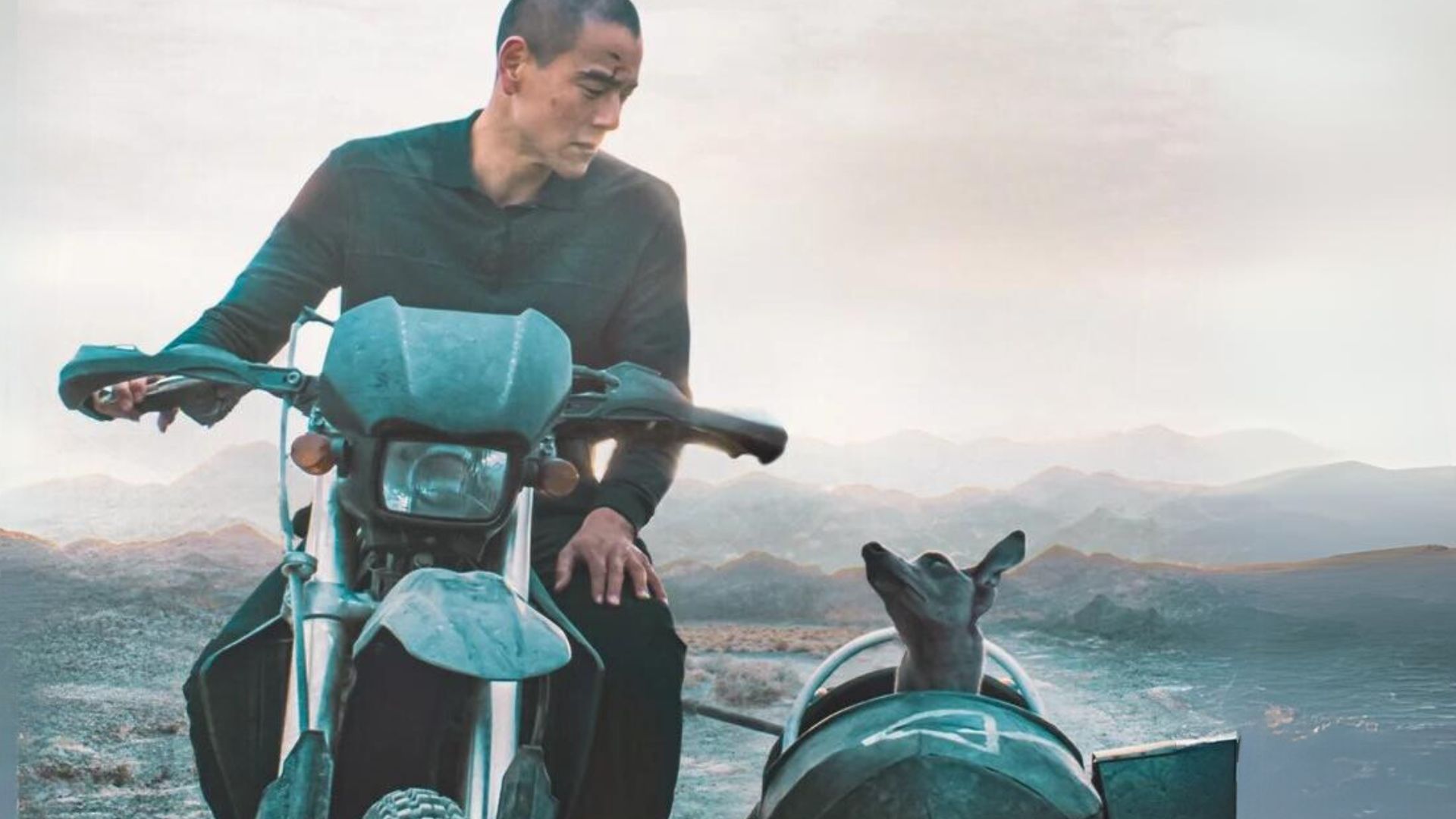 Un homme regarde son chien assi dans un sidecar. Derrière : les montagnes