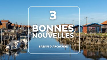 port de gujan avec des cabanes ostréicoles de part et d'autre du port et des bateaux
