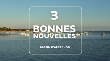 bassin d'arcachon avec des bateaux en arrière plan