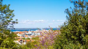 Vue depuis l'Observatoire Sainte Cécile d'Arcachon