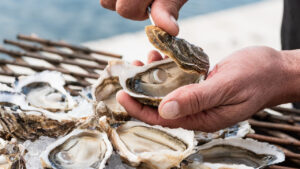 Mains qui ouvrent des huîtres avec un couteau à huître sur une table en bois