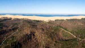 Balade entre Dune et Forêt