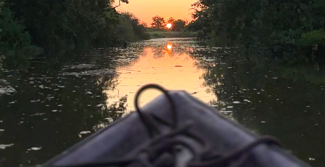 Leyre au coucher du soleil