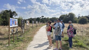 Balade photographique Arès - Chemin des lapins avec des visiteurs