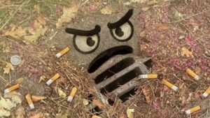 un avaloir mécontentrecovert d'aiguilles de pins et de mégots de cigarette