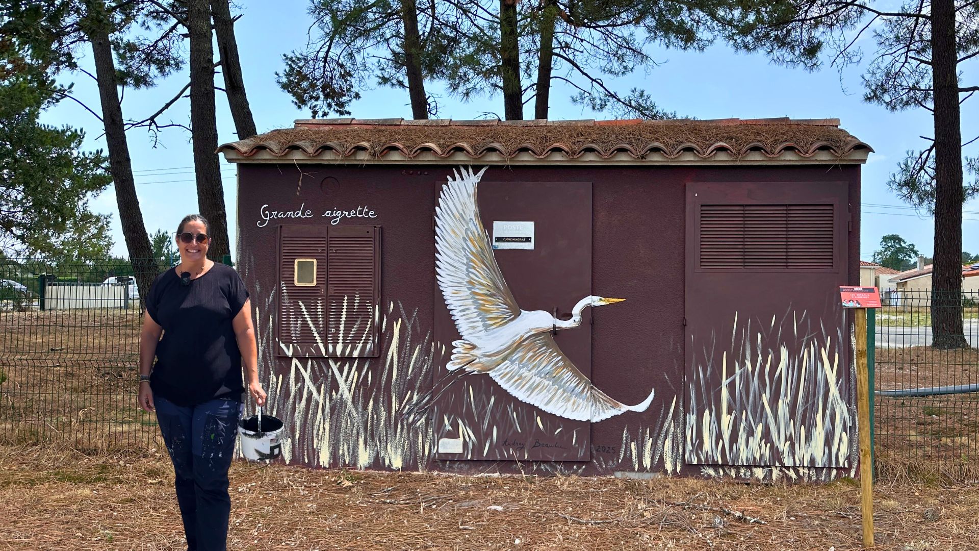 Audenge peinture Oiseaux du Bassin - Le transformateur à coté de l'Adapei avec une grande Aigrette par Audrey Beauduc