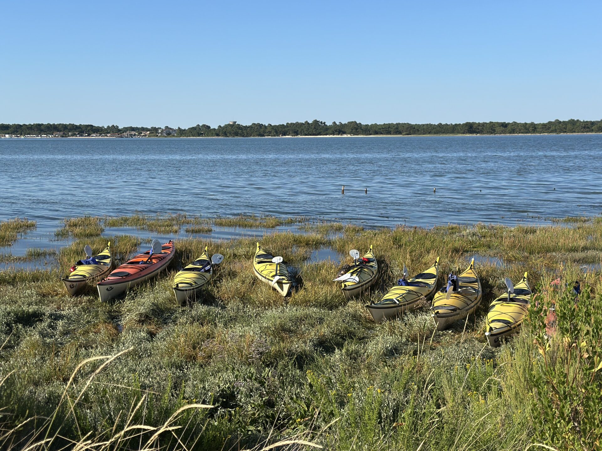 des kayaks posés sur l'herbe au bord de l'eau