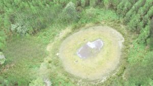mare asséchée au milieu d'une forêt, vue du ciel
