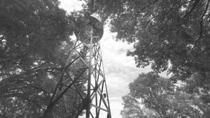 photo en noir en blanc d'un belvedere au mileu des arbres