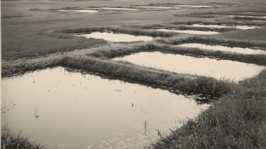 images en noirs et blancs de réservoirs à poissons
