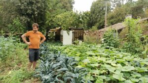 Une hmme avec un tee shirt orange au milieu d'une plantation maraichere