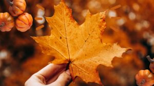 image d'illustration issue d'un montage généré sur Canva