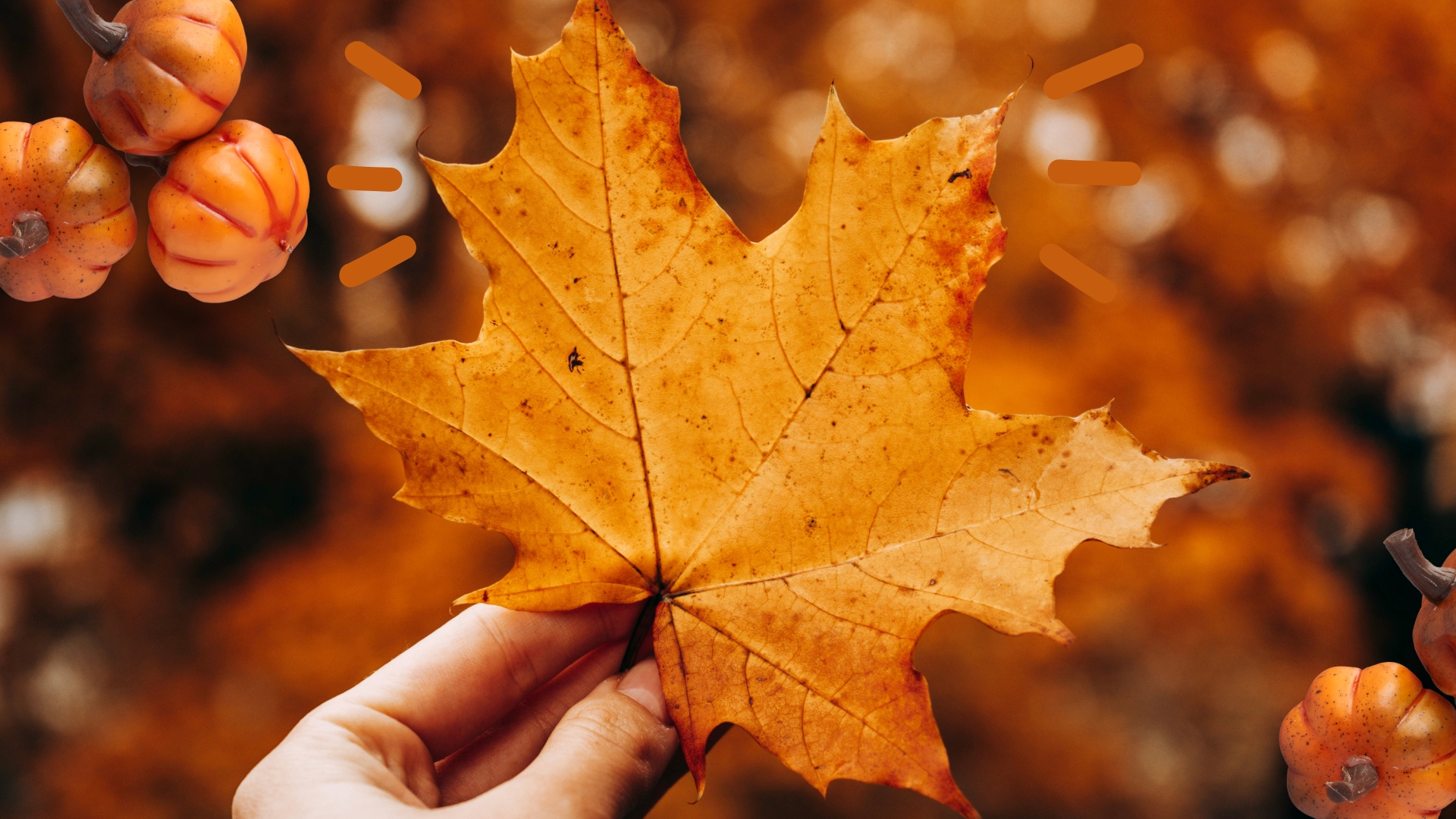 image d'illustration issue d'un montage généré sur Canva