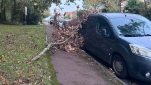 branche d'arbre tombée sur une voiture bleus foncée à arcachon après le passage de la tempête benjamin