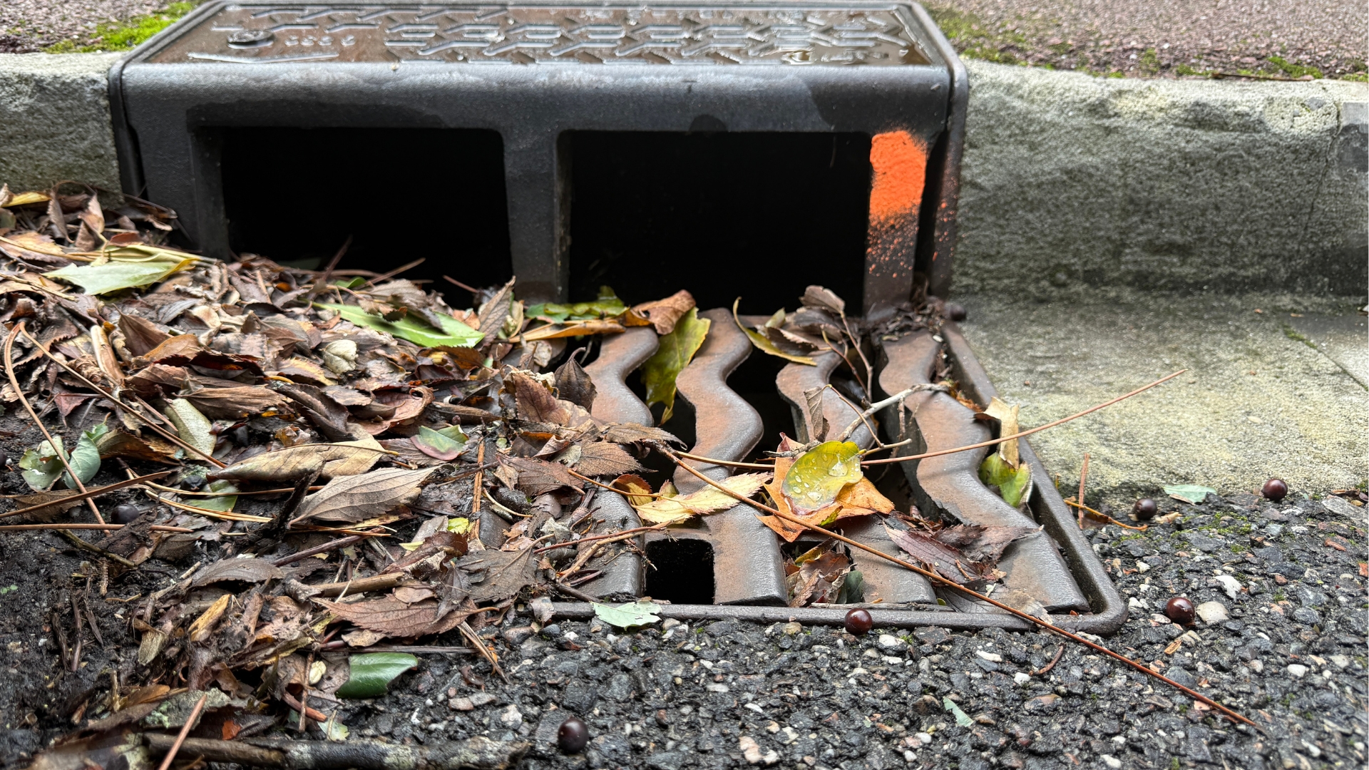 avaloir d'eau de pluie avec des feuilles et de la terre à l'entrée après le passage de la tempête benjamin
