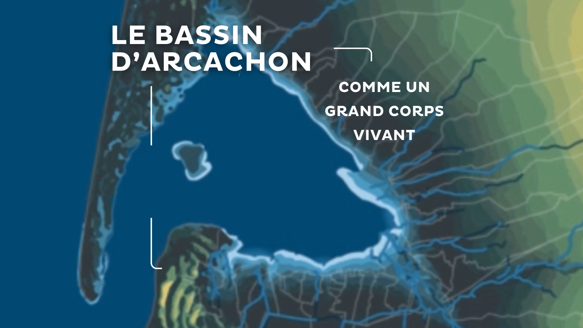 image d'illustratuon : carte du bassin d'arcachon avec la mention : bassin d'arcachon comme un grands corps vivant