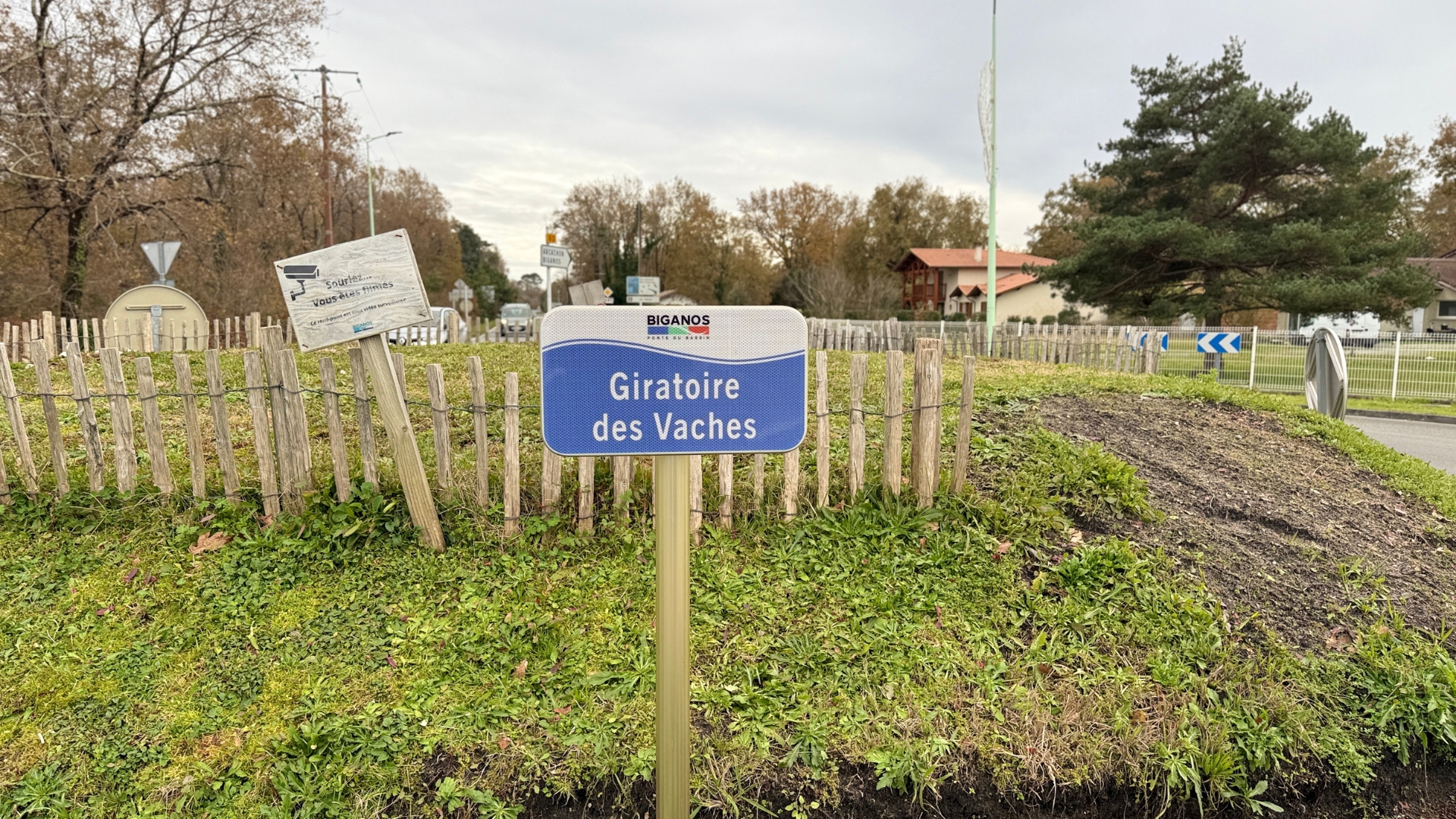 giratoires des vaches de biganos : avec de l'herbe, des piquets enn bois et un petit panneau bleu et blanc "giratoire des vaches"