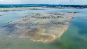 vue aérienne chantier de réhabilitation des friches ostréicoles