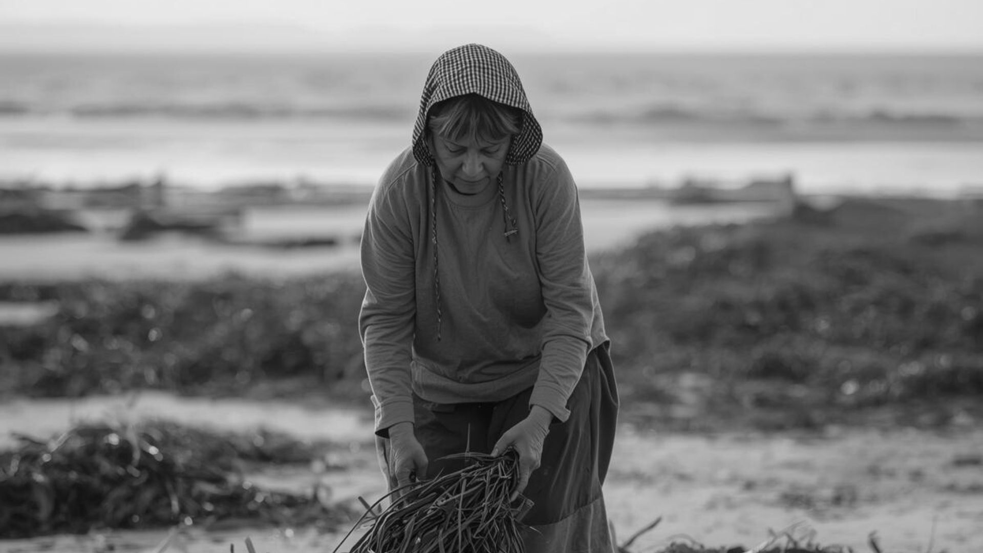 photot en noir et blanc d'une femme qui ramasse des algues sur la plage