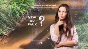 Une jeune femme en rose s'interroge. en arrière plan : un fossé