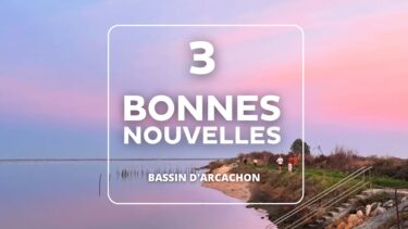 depuis le bout du port de la teste de buch, ciel rosé et la mention "bonnes nouvelles"