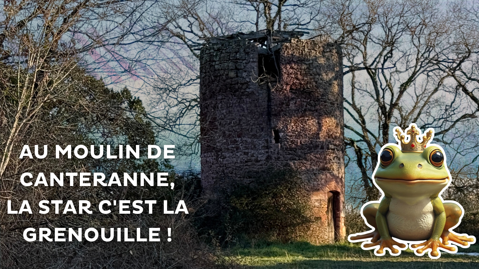 vieux moulin de Canteranne au Teich avec de la végétation autour + mention "au moulin de Canteranne, la star c'est la grenouille" + grenouille avec une couronne sur la tête