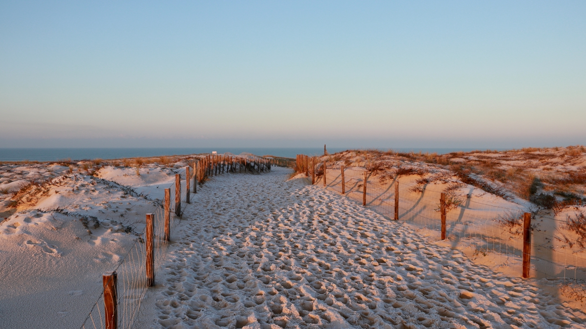 chemin qui mène à la plage du cap ferret en hiver