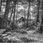 Photo noir et blanc d'une villa arcachonnaise cachée dans les pins
