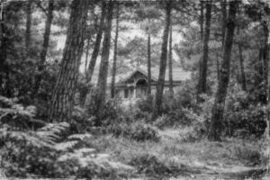 Photo noir et blanc d'une villa arcachonnaise cachée dans les pins
