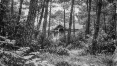 Photo noir et blanc d'une villa arcachonnaise cachée dans les pins