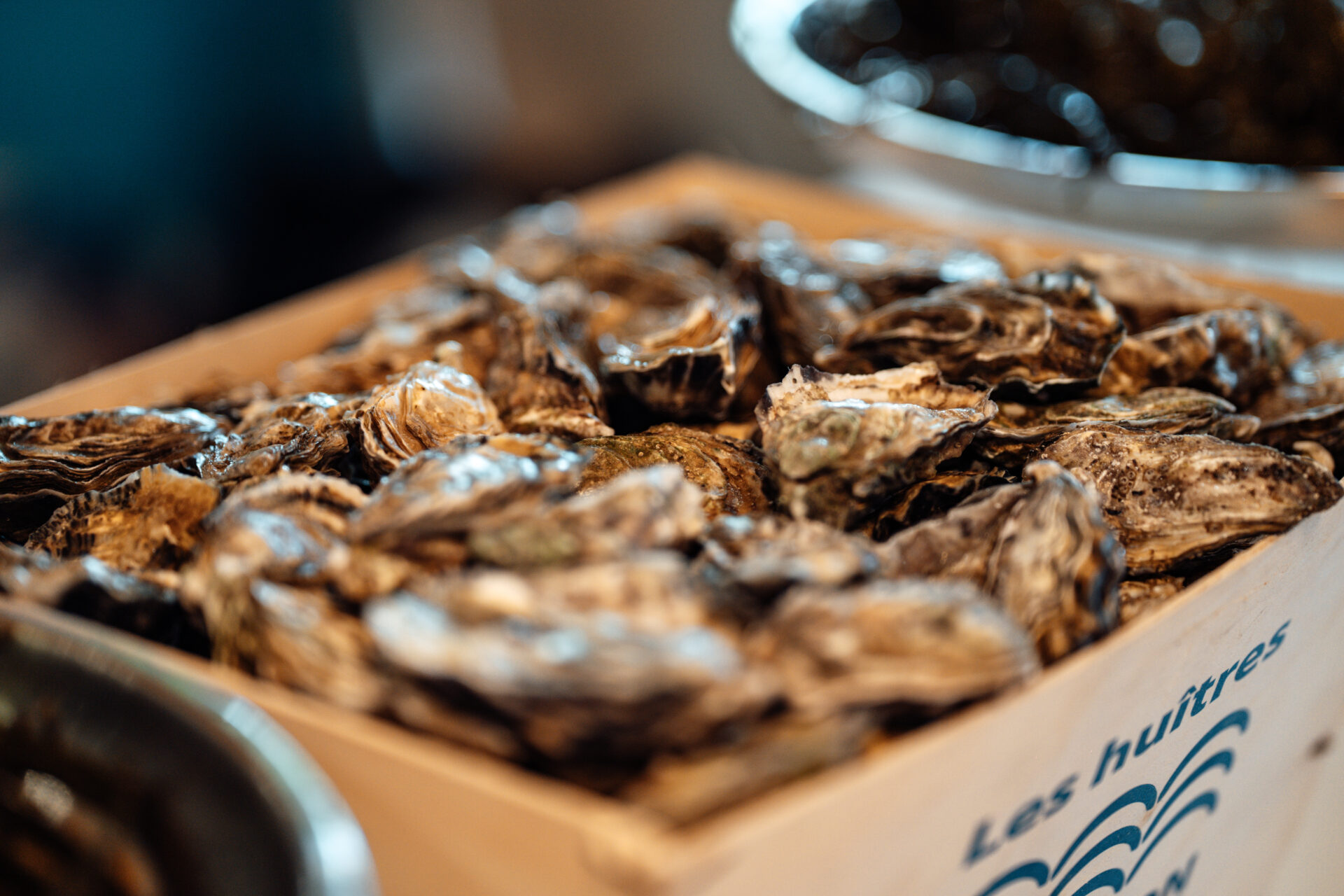 bourriche d'huîtres