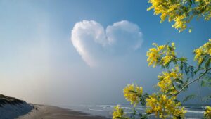 Un nuage forme un coeur dans le ciel bleu d'une plage. A gauche on devine une dune de sable. Au premier plan à droite des fleurs de mimosa jaunes.