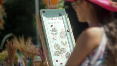 Une petite fille devant un herbier éclairé par le soleil