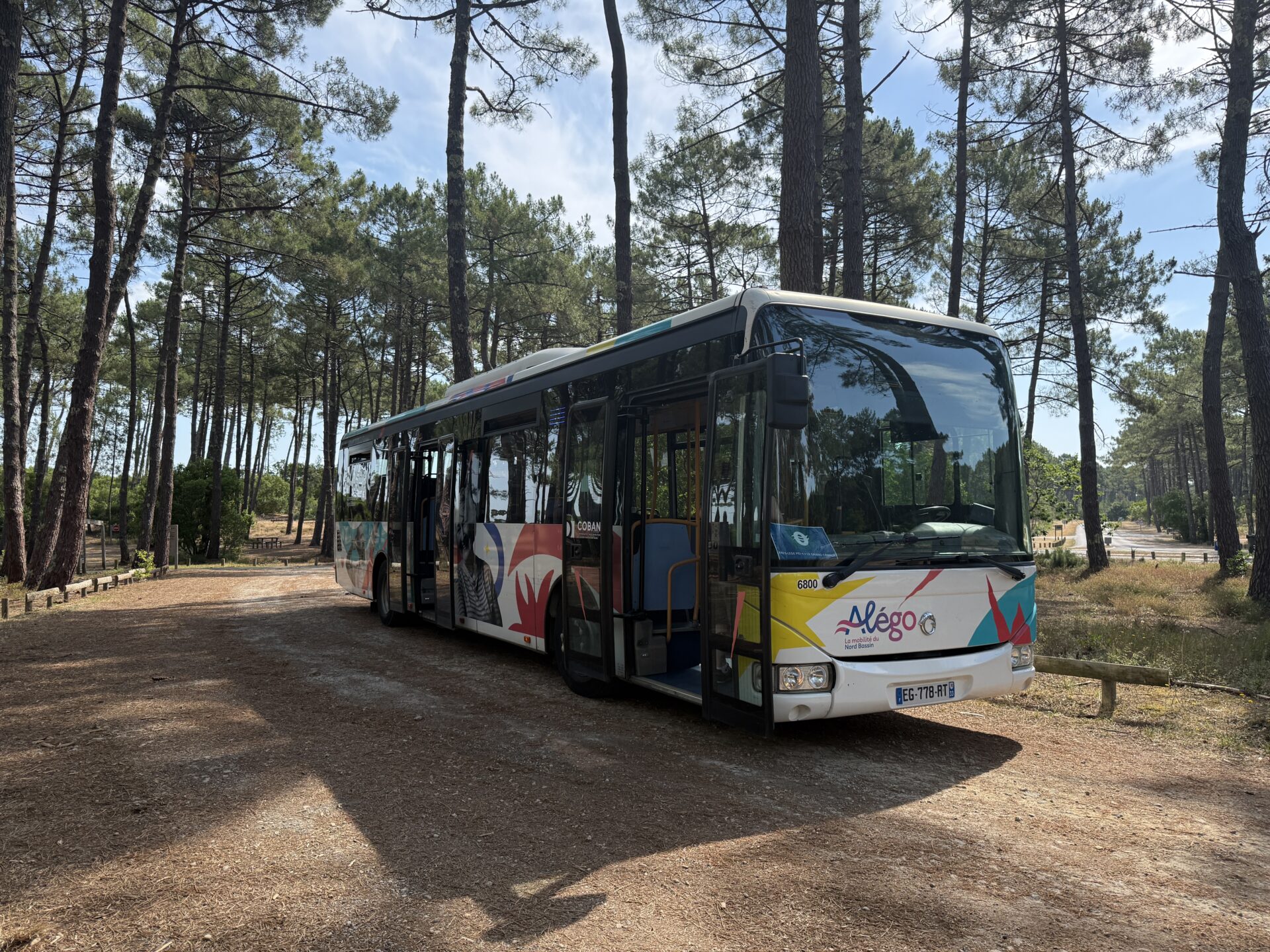bus sous les pins