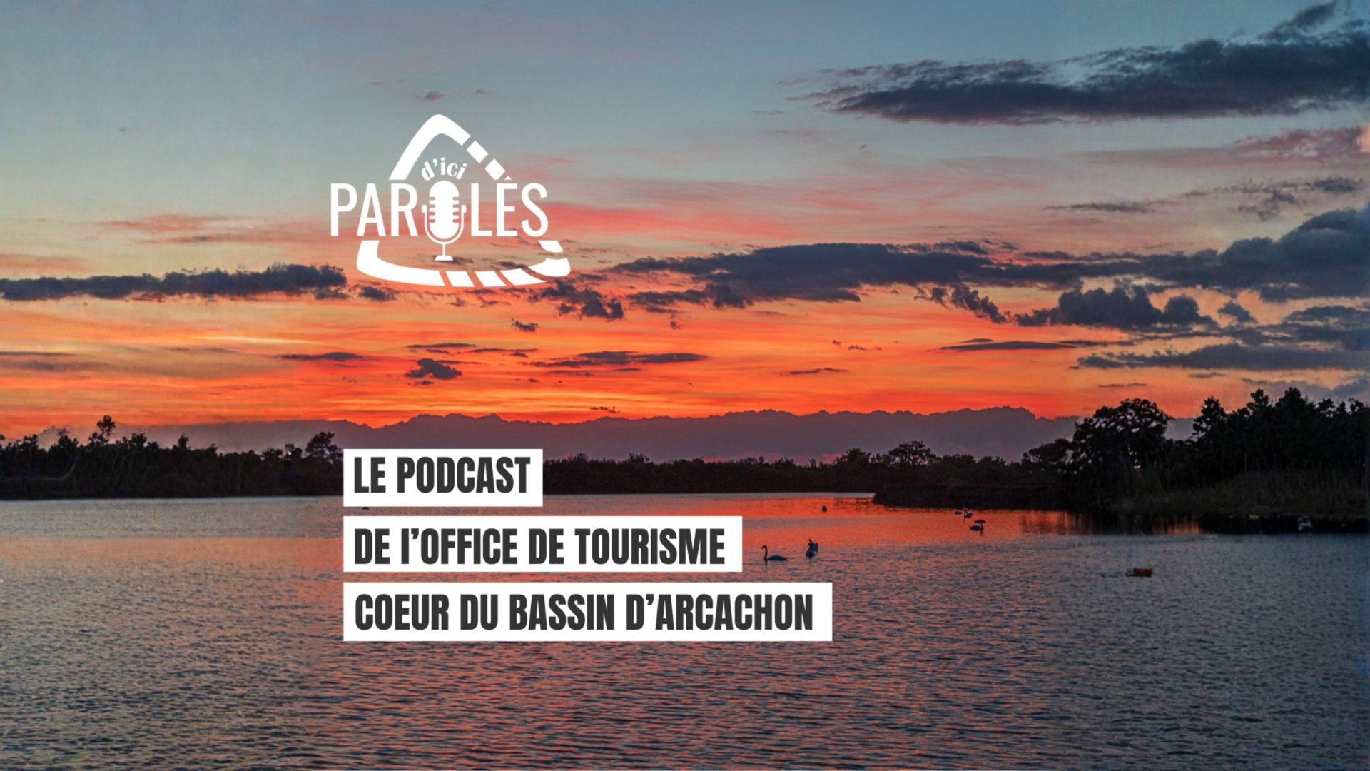 Logo : "Paroles d'ici" et texte : Le podcast de l'office de tourisme coeur du Bassin. Image : un coucher de soleil sur la mer.