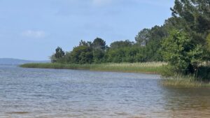 lac de cazaux