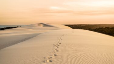 dune du pilat