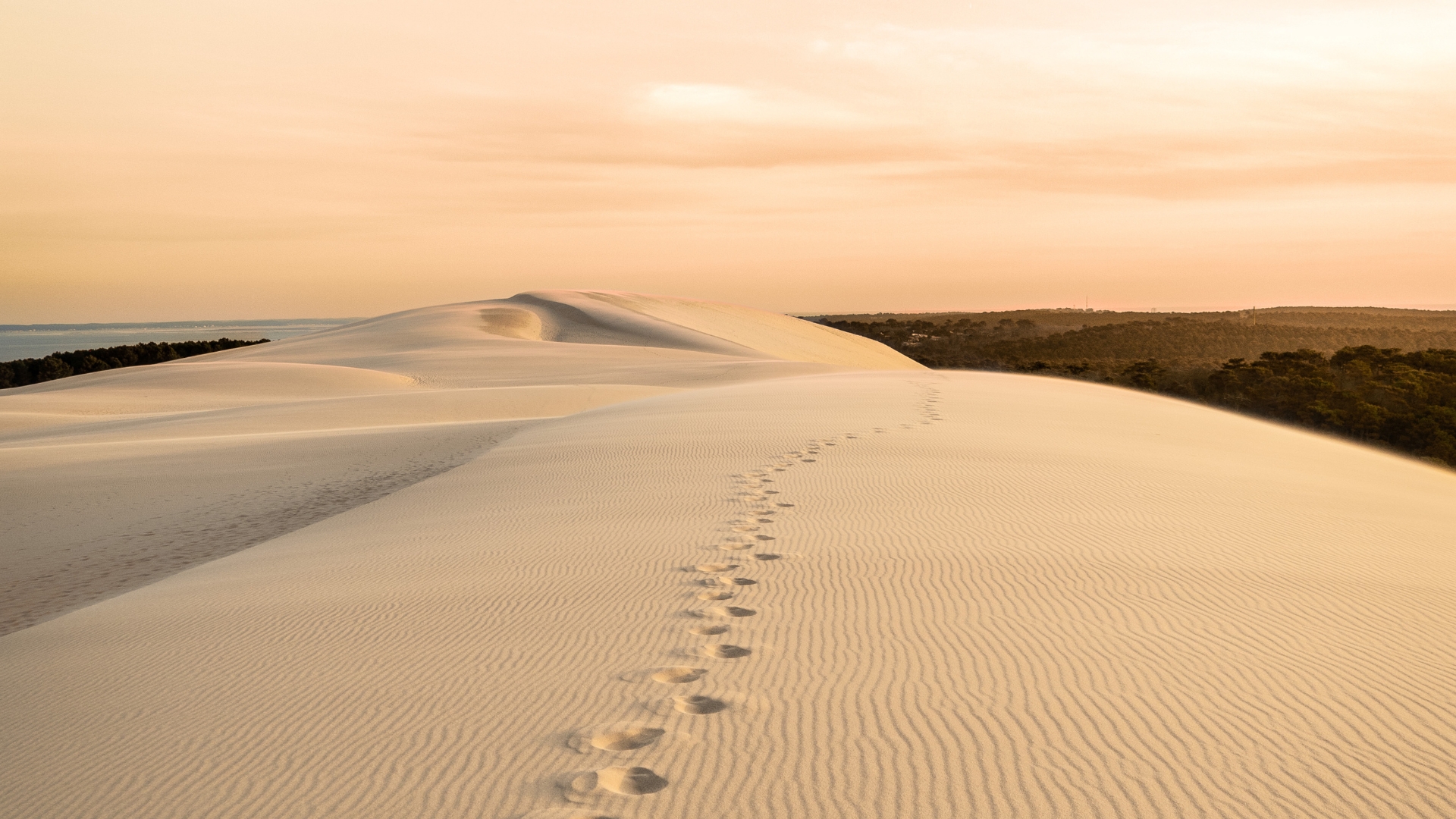 dune du pilat