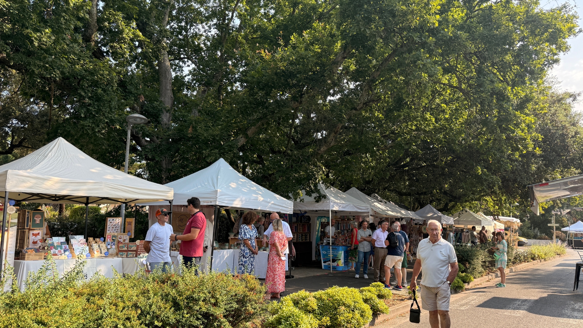 marché du pyla : des stand avec des chapiteaux et des visiteurs, de la végétation au premie rplan