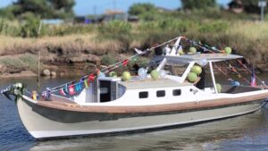 Une pinasse, bateau traditionnel en bateau, sur l'eau. Derrière elle, d ela végétation.