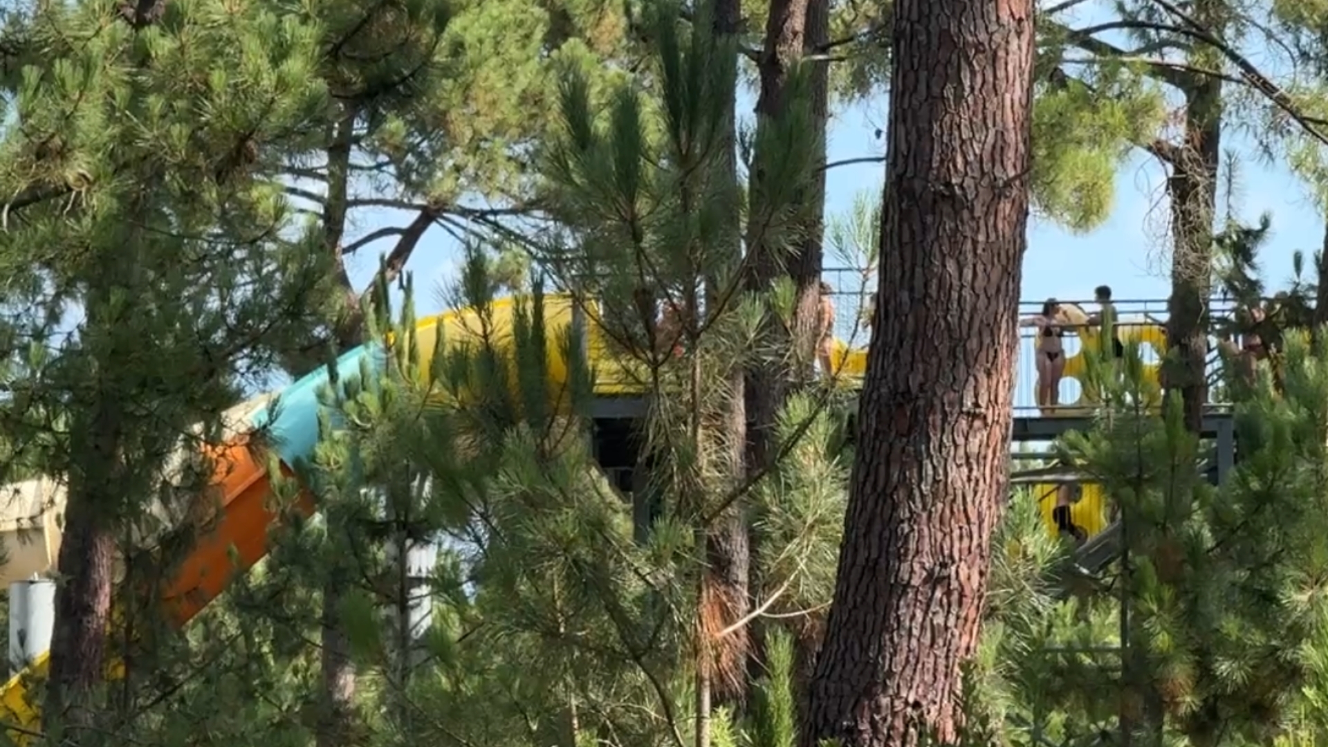 attraction aquatique au milieu des arbres