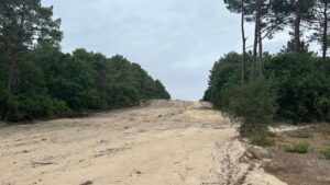 pare-feu au milieu de la forêt à lège cap ferret suite aux incendies