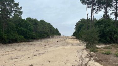 pare-feu au milieu de la forêt à lège cap ferret suite aux incendies