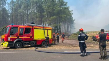 camion de pompier et pompiers devant des pins enfumé par une incendie