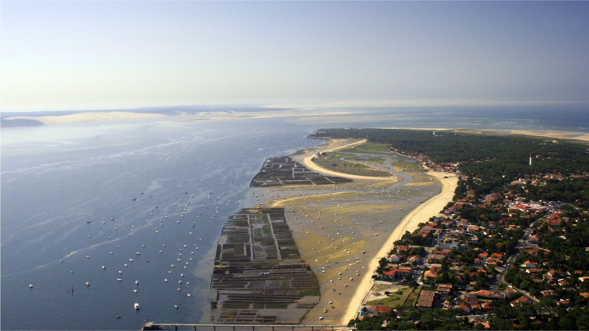 Vue aérienne de la presqu'ile de Lège Cap-Ferret, plage et langue de terre avec des habitation et des pins