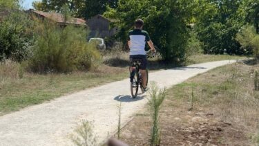 Un homme fait du vélo dans les prés salés à la Teste de Buch